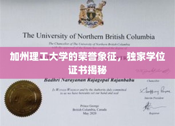 探索加州理工大学的独门荣耀，揭秘非凡学位证书背后的故事