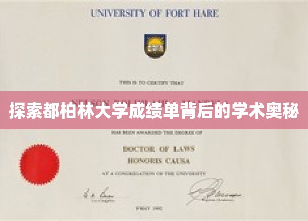 解码都柏林大学成绩单，揭秘学术成就的神秘面纱