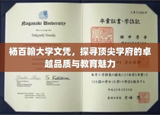 杨百翰大学荣耀，探寻顶尖学府的教育传奇与独特魅力