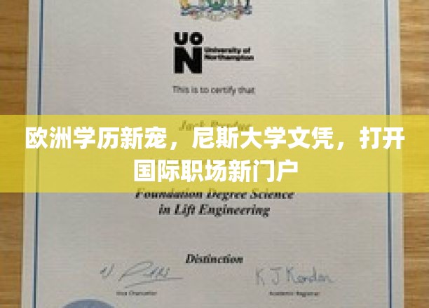 跨国职场通行证，尼斯大学学历引领欧洲教育新风尚