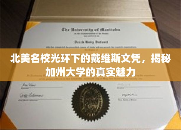 加州戴维斯文凭，北美名校光环背后的独特魅力探秘