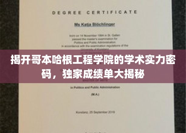 揭开哥本哈根工程学院的学术实力密码，独家成绩单大揭秘