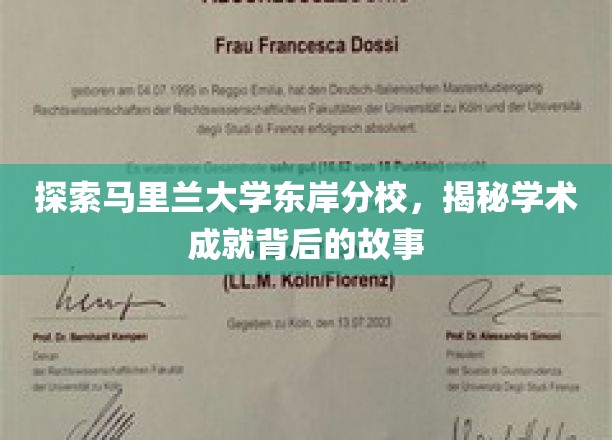马里兰大学东岸分校，探寻学术辉煌背后的传奇篇章