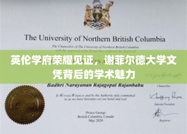 谢菲尔德大学荣耀之旅，探索英伦学府的学术魅力与文凭价值