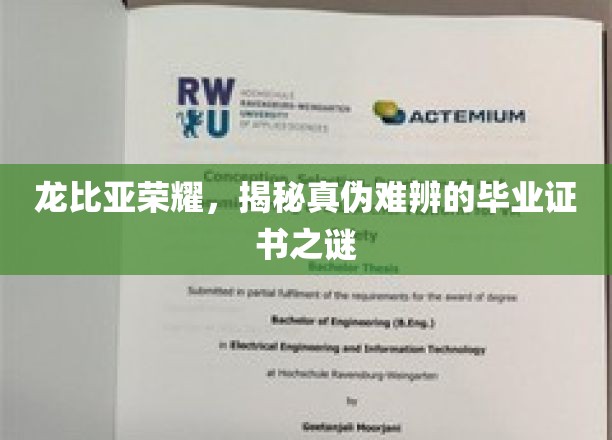 毕业证书真假难辨，龙比亚荣耀背后的秘密大揭秘！