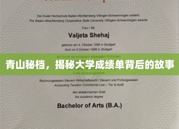 成绩单背后，揭开大学生活的秘密面纱