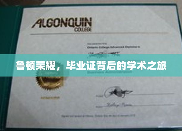 探寻鲁顿荣耀，毕业证背后的学术征途记