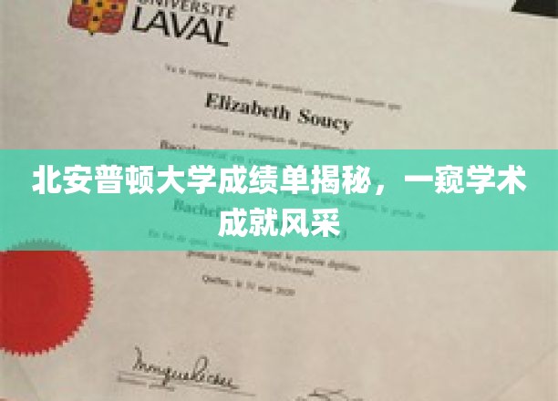 北安普顿大学成绩单揭秘，一窥学术成就风采
