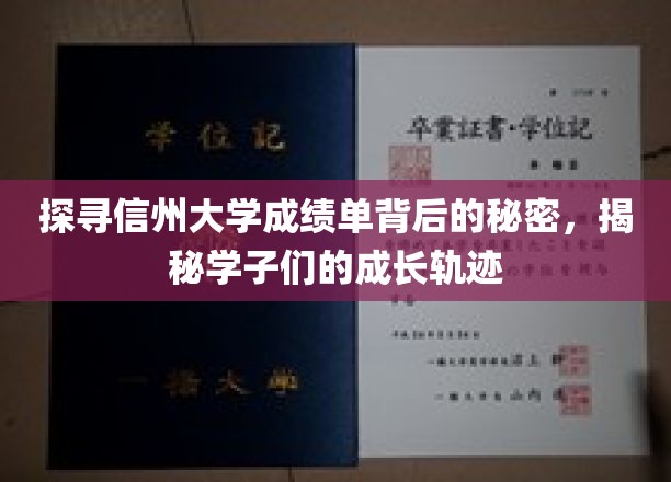 解码信州大学成绩单，学子成长轨迹的神秘面纱