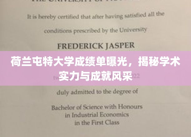 荷兰屯特大学成绩单大揭秘，学术实力与风采一瞥