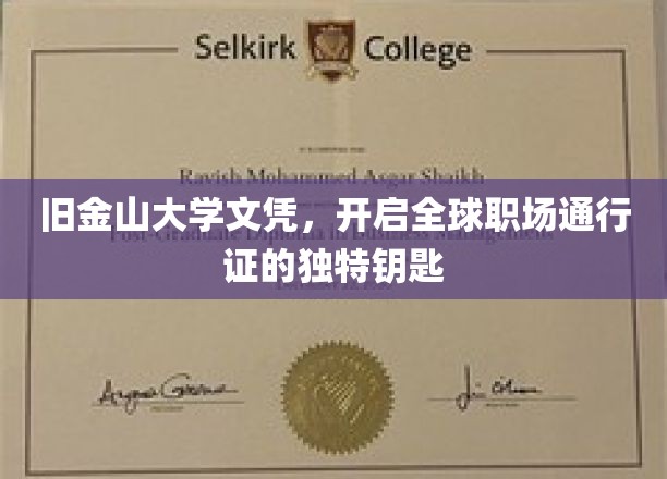 旧金山大学文凭，解锁国际职场精英之路的神秘钥匙