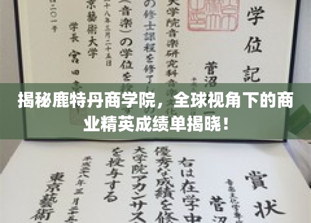 鹿特丹商学院，跨国视野下的商业领袖养成记