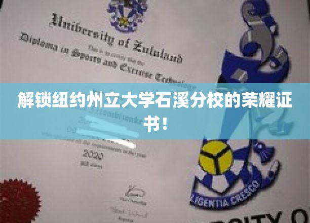 揭秘石溪分校荣耀证书背后的秘密宝藏