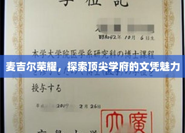 麦吉尔荣耀，探索顶尖学府的文凭魅力