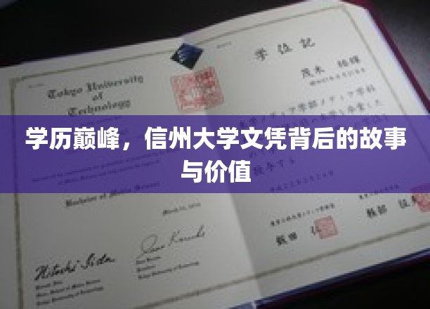 学历巅峰，信州大学文凭背后的故事与价值