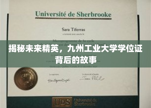 解码未来精英，九州工业大学学位证的传奇之旅