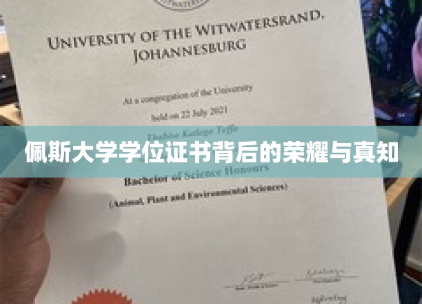 佩斯大学学位证书背后的荣耀与智慧