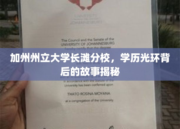 加州州立大学长滩分校，学历光环背后的故事揭秘