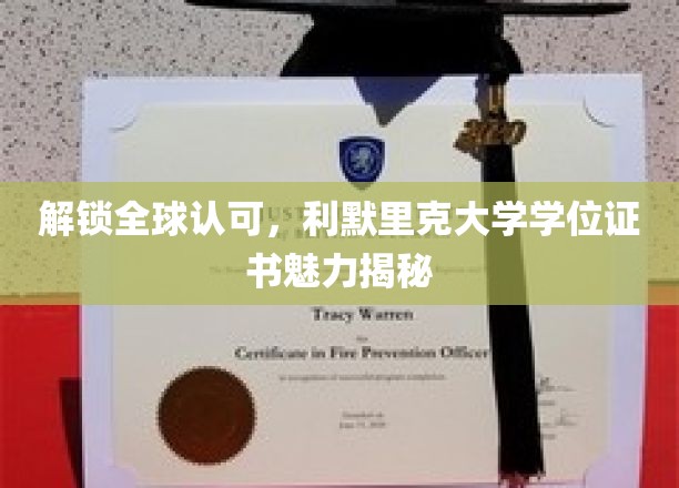 国际通行证背后的秘密，揭秘利默里克大学学位证书的全球认可力
