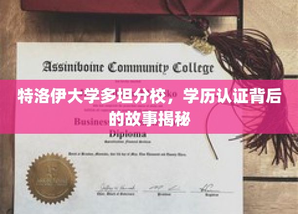 探寻特洛伊大学多坦分校学历认证背后神秘面纱