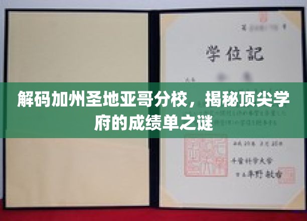 探寻圣地亚哥分校的卓越之路，揭秘顶尖学府的辉煌成就