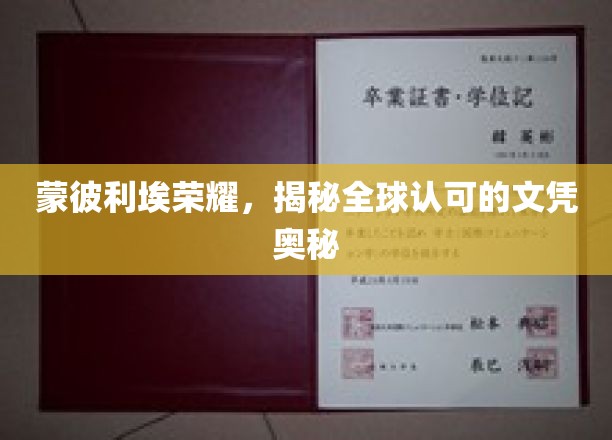 探寻蒙彼利埃文凭的全球魅力，揭秘背后的荣耀之路