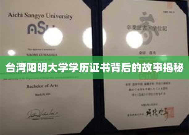探寻台湾阳明大学学历证书背后的传奇故事
