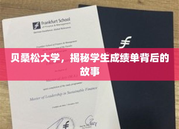 贝桑松大学，成绩单背后隐藏的青春秘密