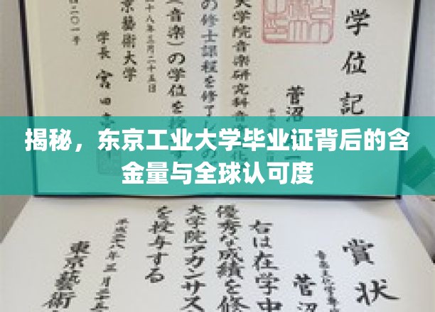 东京工业大学毕业证，全球视野下的高含金量认证