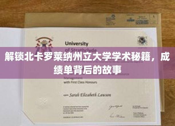 探寻北卡罗莱纳大学学术传奇，揭秘成绩单背后的精彩篇章