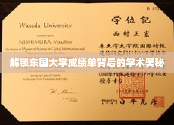 东国大学成绩单，揭秘学术实力的不传之谜