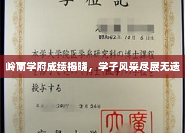 岭南学府成绩揭晓，学子风采尽展无遗