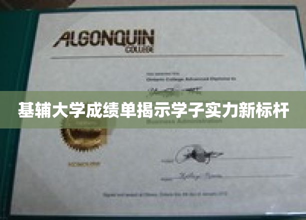 基辅大学学子成绩单，展现卓越实力新高度