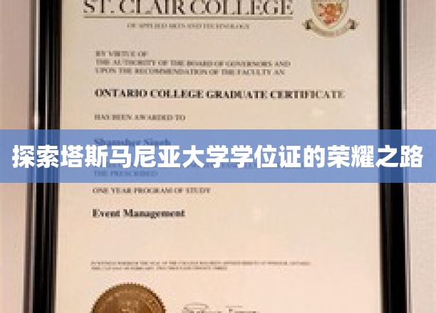 揭开塔斯马尼亚大学学位荣耀背后的传奇征程