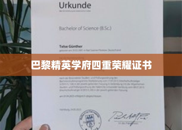 法国顶尖学府巴黎精英，解锁四项荣耀成就证书之谜