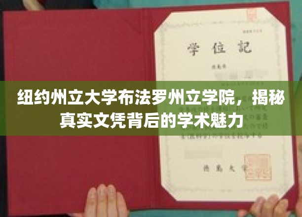 纽约州立大学布法罗州立学院，揭开真实文凭背后的学术魅力