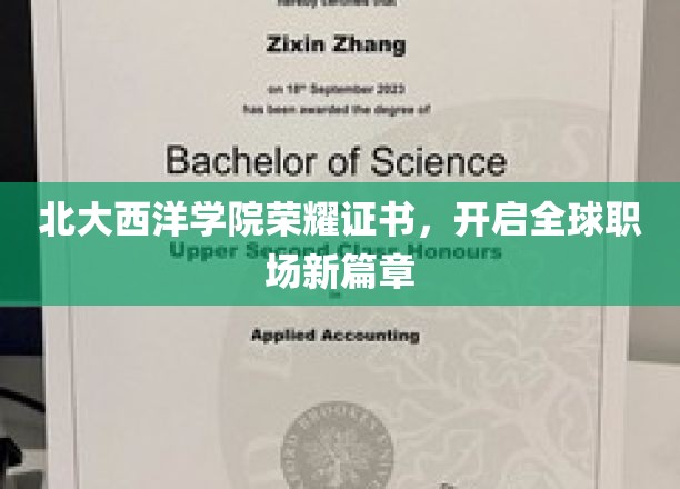 北大西洋学院荣耀证书领航，职场精英新纪元正式开启