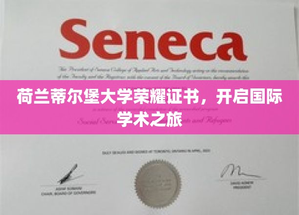 荷兰蒂尔堡大学荣耀证书，开启国际学术之旅