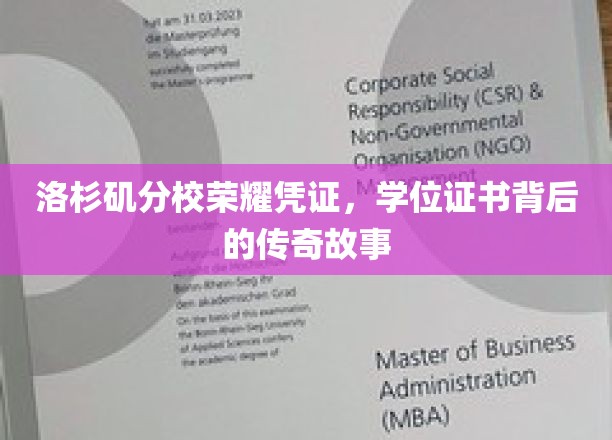 洛杉矶分校荣耀凭证，学位证书背后的传奇故事
