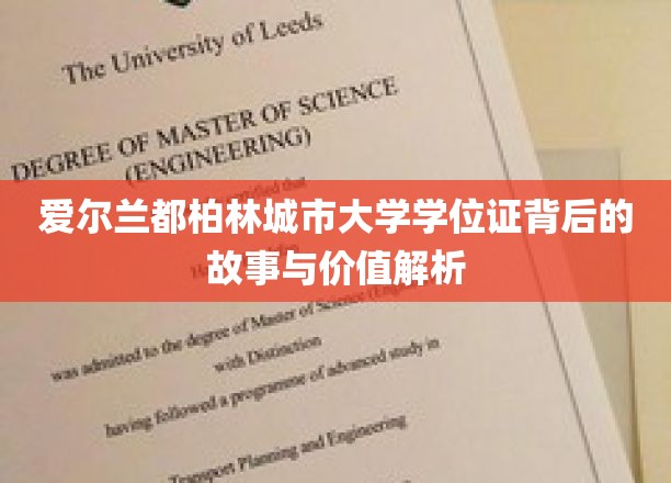 爱尔兰都柏林城市大学学位证书背后的故事与价值解析