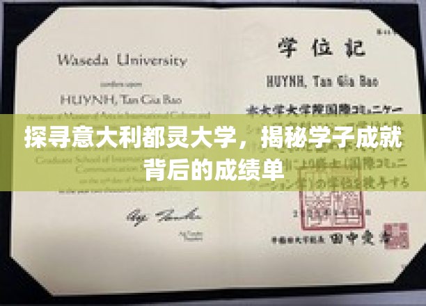 都灵大学学霸养成记，揭秘学子辉煌成就背后的学术秘籍
