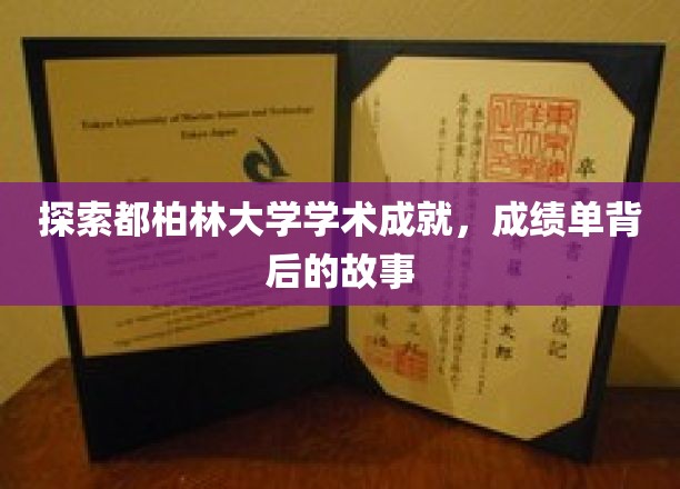 揭开都柏林大学璀璨光环，揭秘成绩单背后的辉煌故事