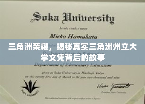 解码三角洲荣耀，探寻州立大学文凭背后的传奇历程