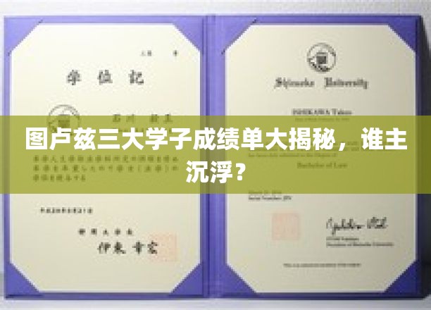 图卢兹三大学子成绩单揭秘，荣耀榜上谁将崭露头角？