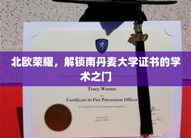 北欧荣耀，开启南丹麦大学学术证书的智慧之门