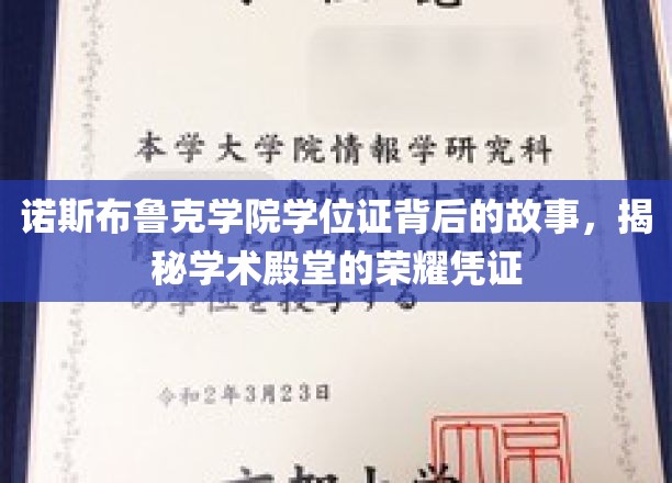 诺斯布鲁克学院学位证背后的故事，揭秘学术殿堂的荣耀凭证
