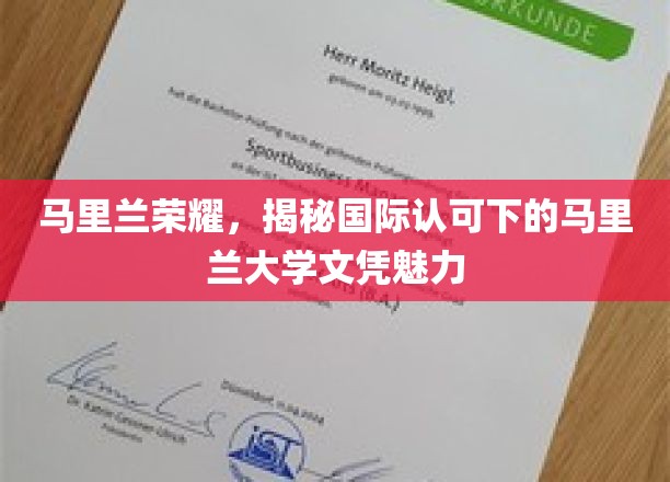 马里兰荣耀，揭秘国际认可下的马里兰大学文凭魅力