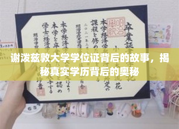 谢泼兹敦大学学位证背后的故事，揭秘真实学历背后的奥秘