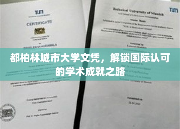 跨国学历新篇章，都柏林城市大学文凭，引领国际学术成就之旅