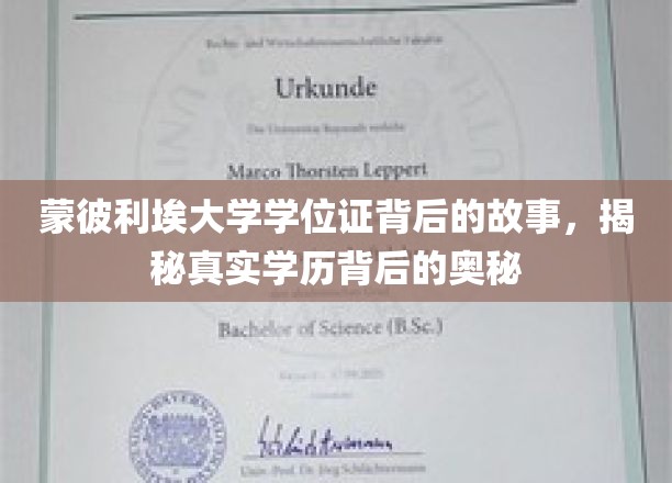 蒙彼利埃大学学位证，探寻学历认证的神秘面纱